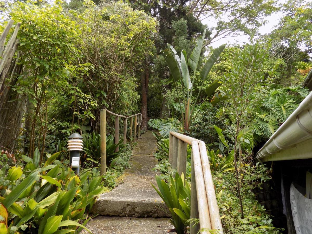 Protea Guest House Knysna Exterior foto