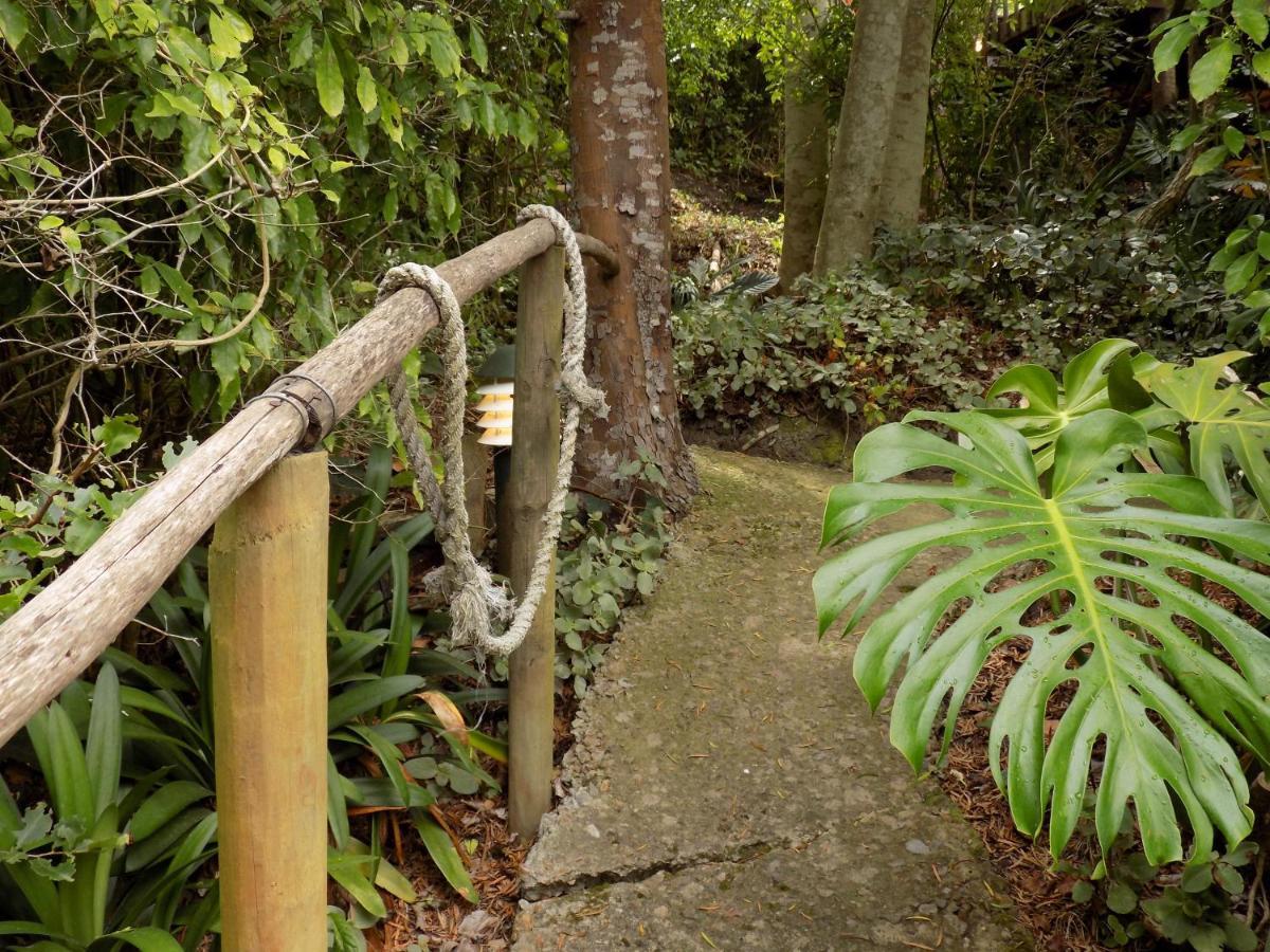 Protea Guest House Knysna Exterior foto
