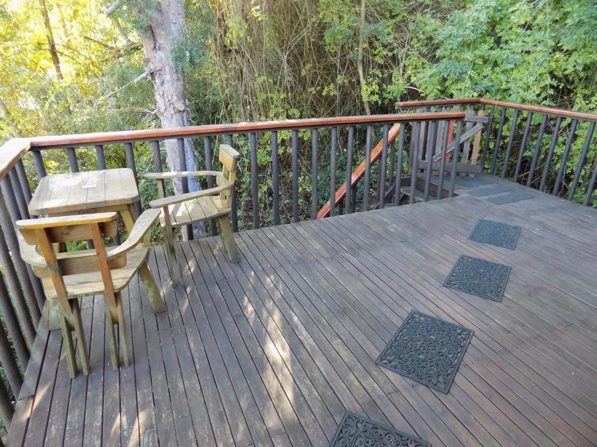 Protea Guest House Knysna Exterior foto